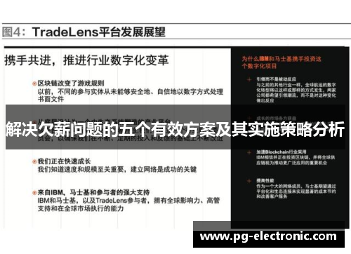 解决欠薪问题的五个有效方案及其实施策略分析 解决欠薪问题的五个有效方案及其实施策略分析