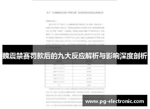 魏震禁赛罚款后的九大反应解析与影响深度剖析