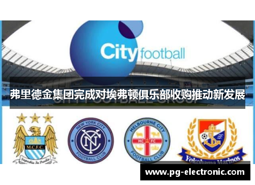 弗里德金集团完成对埃弗顿俱乐部收购推动新发展