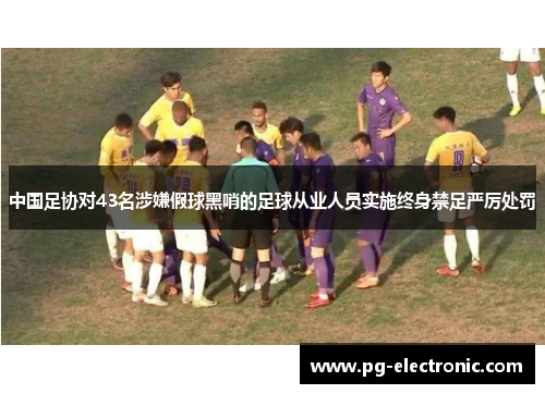 中国足协对43名涉嫌假球黑哨的足球从业人员实施终身禁足严厉处罚