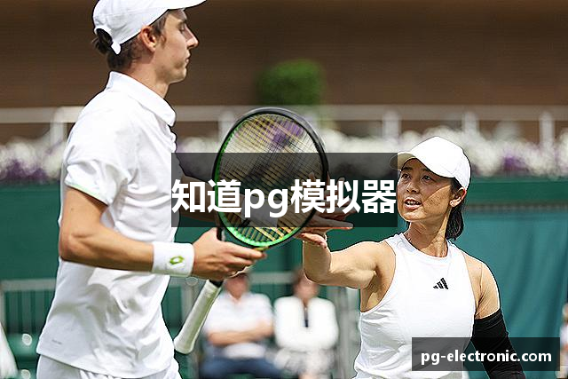 知道pg模拟器